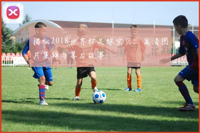 揭秘2018世界杯足球宝贝：高清图片集锦与幕后故事