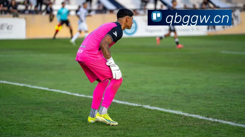 压球首页服务体系